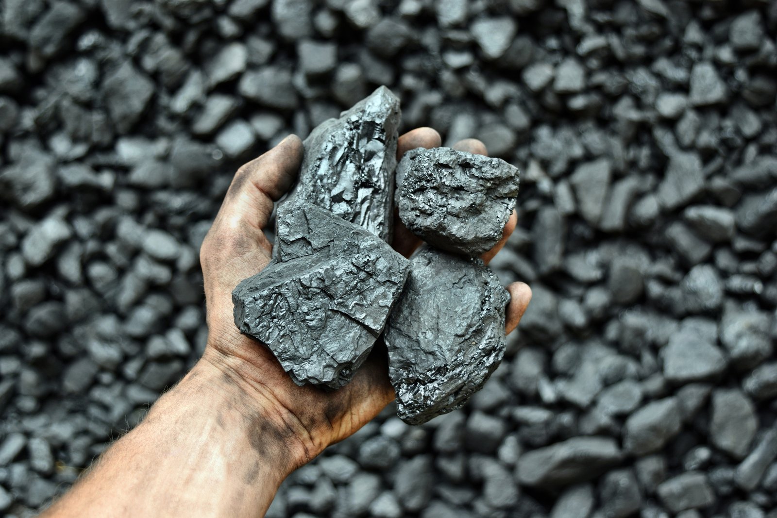 Ammara Group Coal