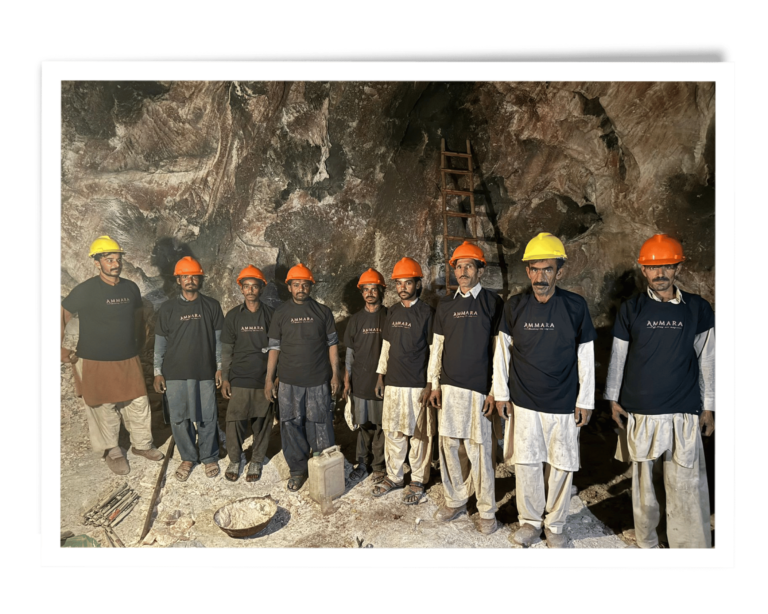 Ammara Group Gallery (10)