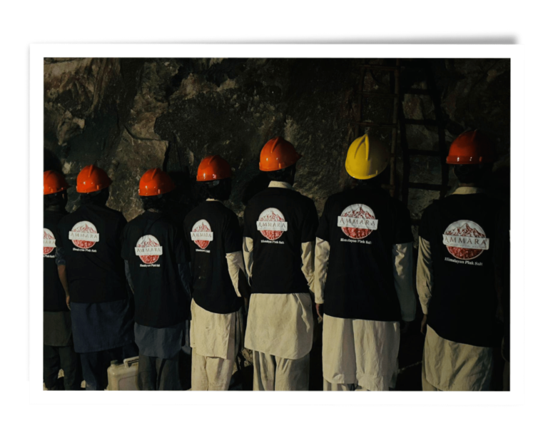 Ammara Group Gallery (11)