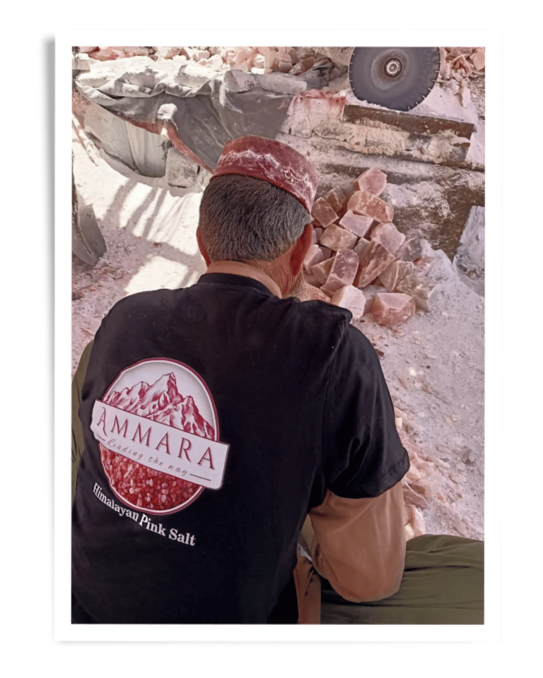 Ammara Group Gallery (21)