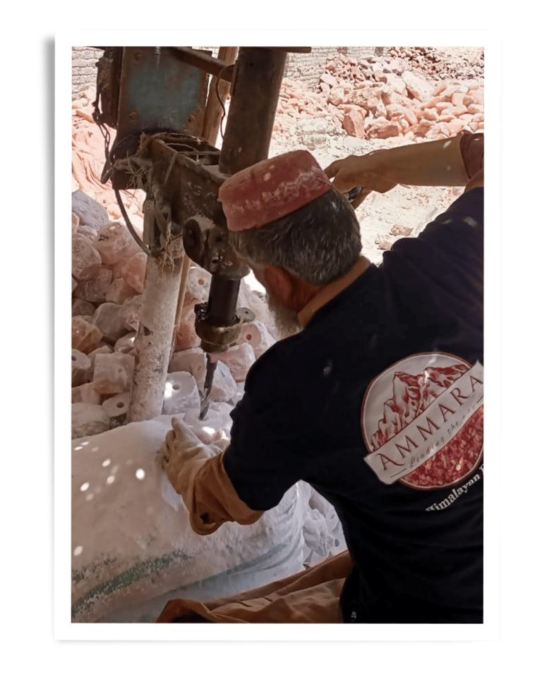 Ammara Group Gallery (23)