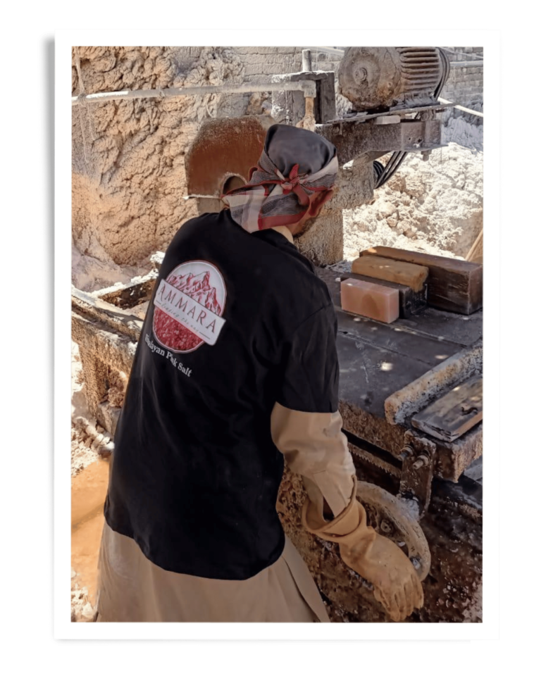 Ammara Group Gallery (24)