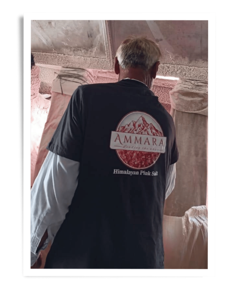 Ammara Group Gallery (28)