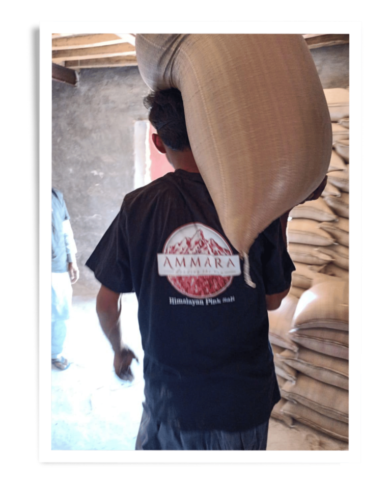 Ammara Group Gallery (29)